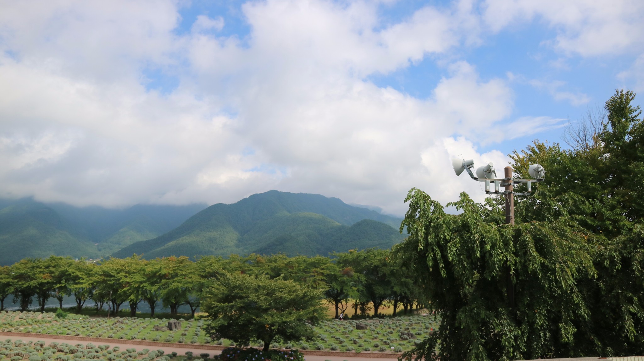 富士山自助遊攻略