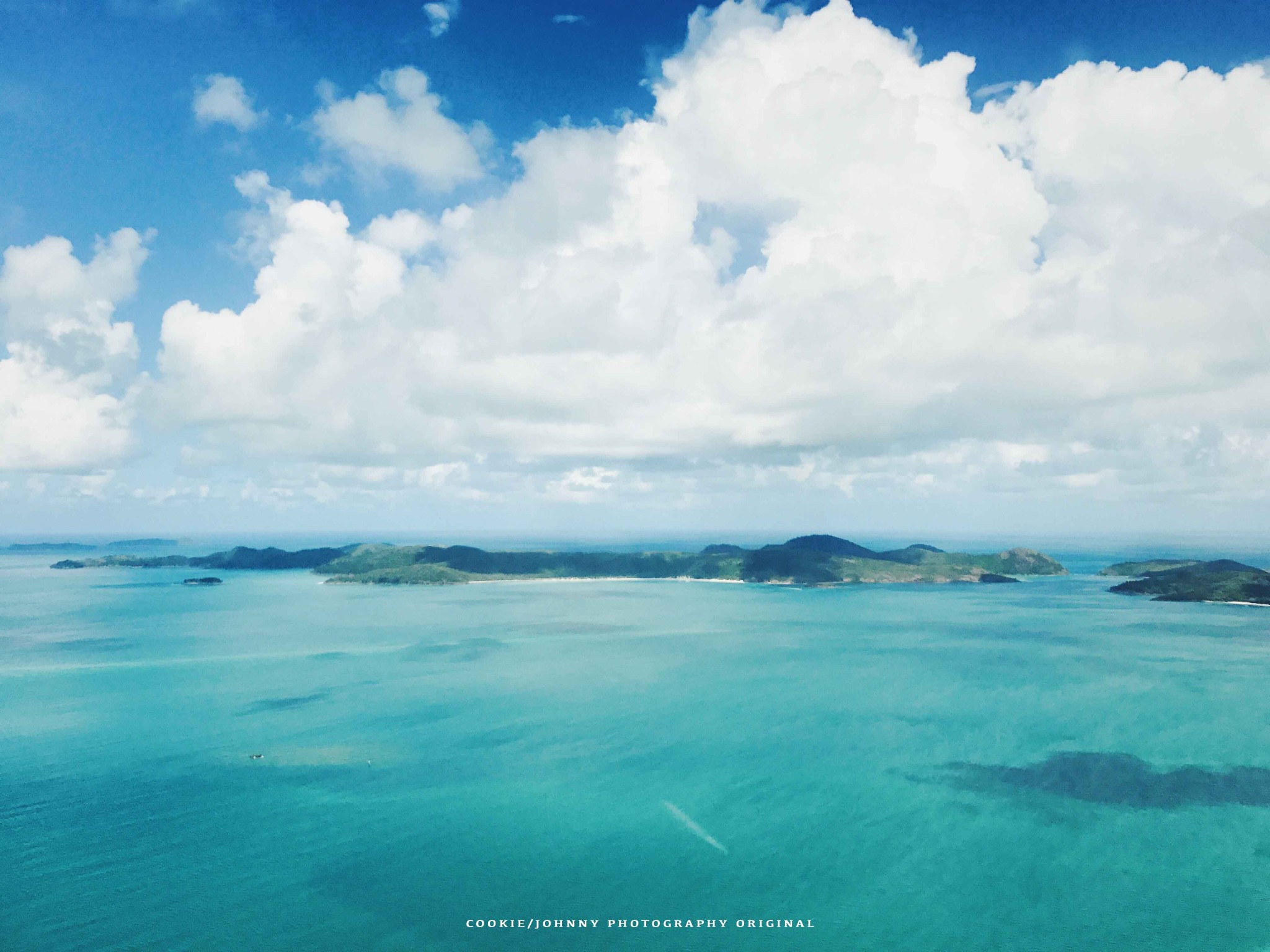 曲奇在澳大利亞|所愛隔山海,山海皆可平