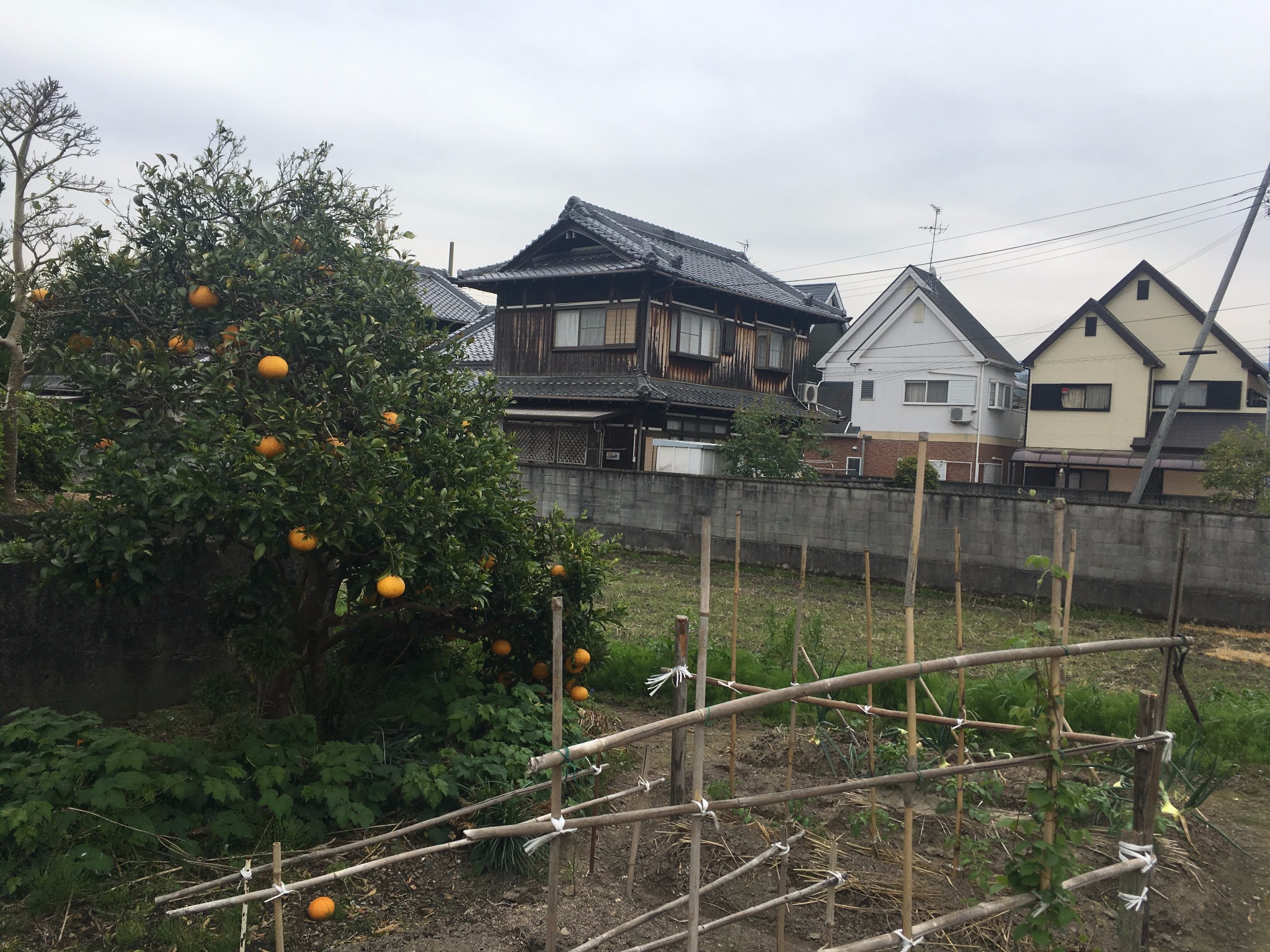 走在乡间的小路上---泉佐野市上之乡