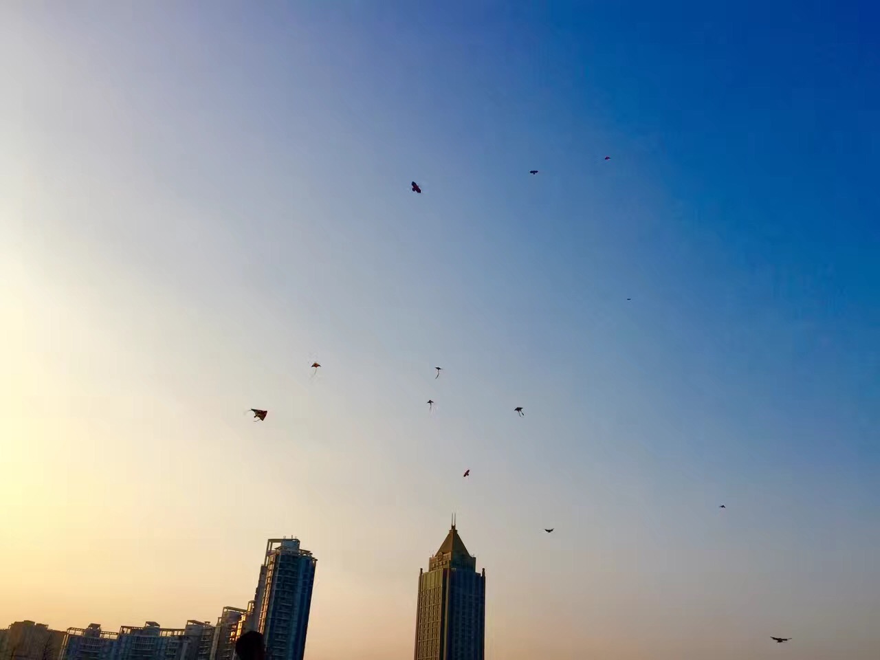 龙岗区教育局 综合教育 第2张