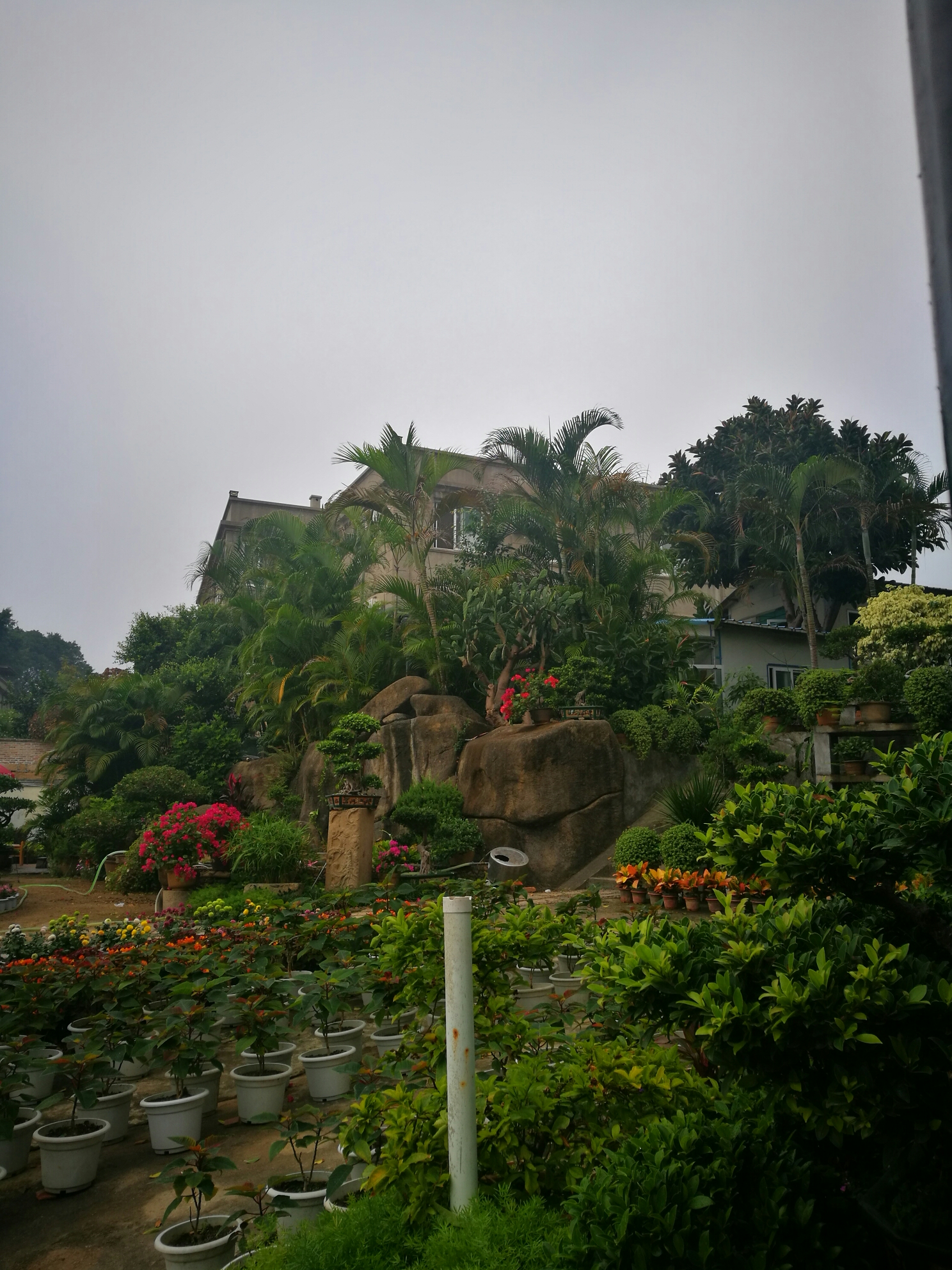 远山如黛,近水含烟——厦门初瞥