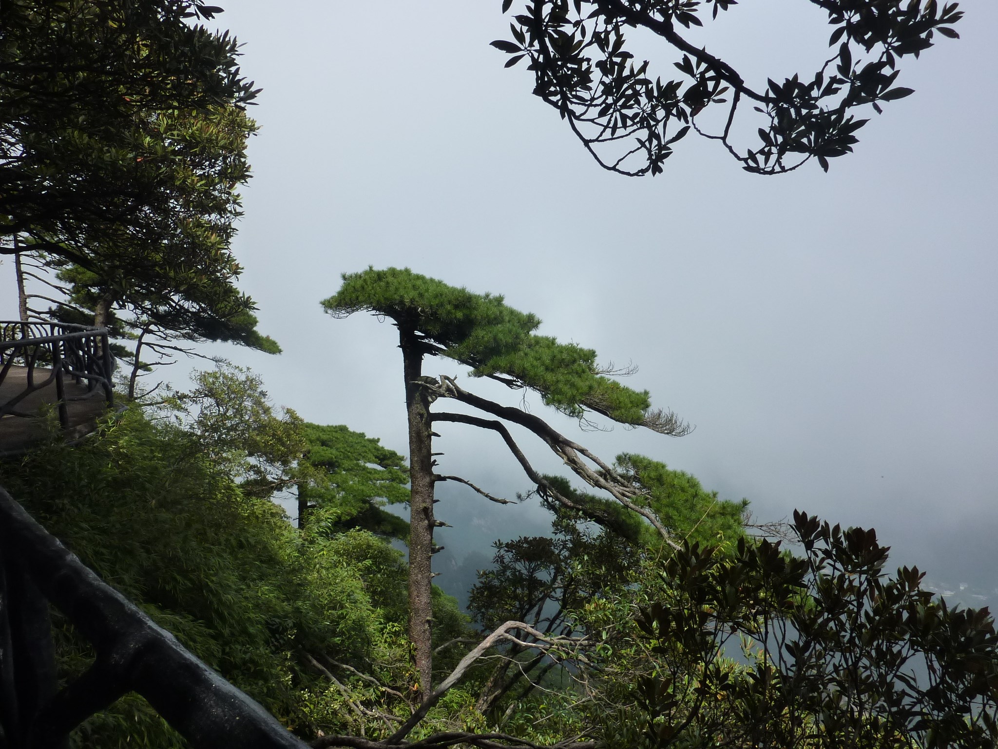 三清山自助遊攻略