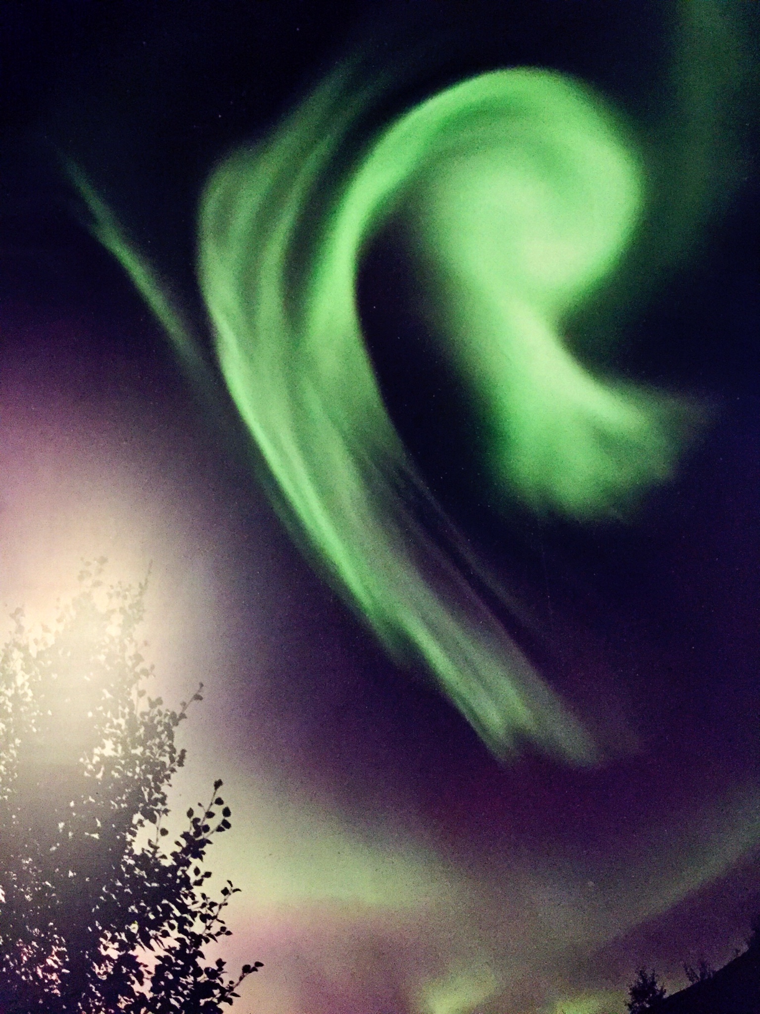 wKgBZ1hv3gOAeIXxABEaB2yKeRA34.jpeg?imageView2%2F2%2Fw%2F680%2Fq%2F90