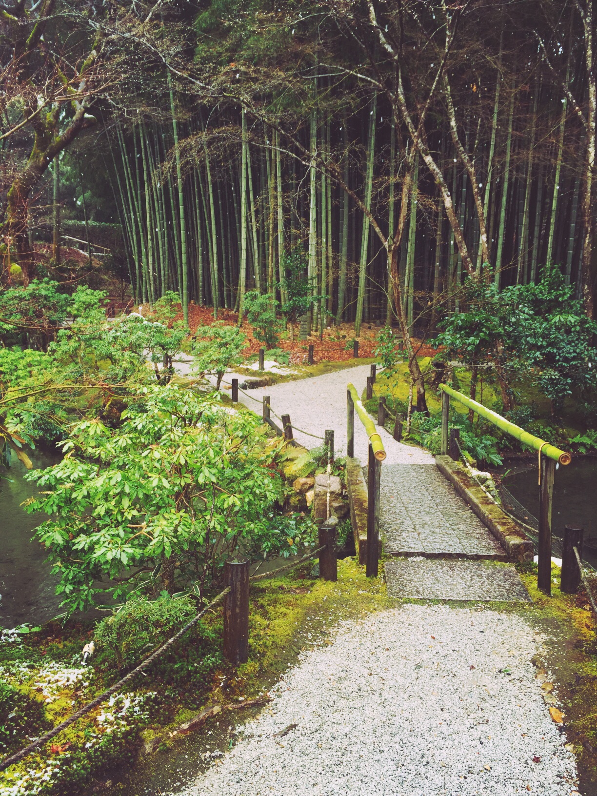 京都自助遊攻略