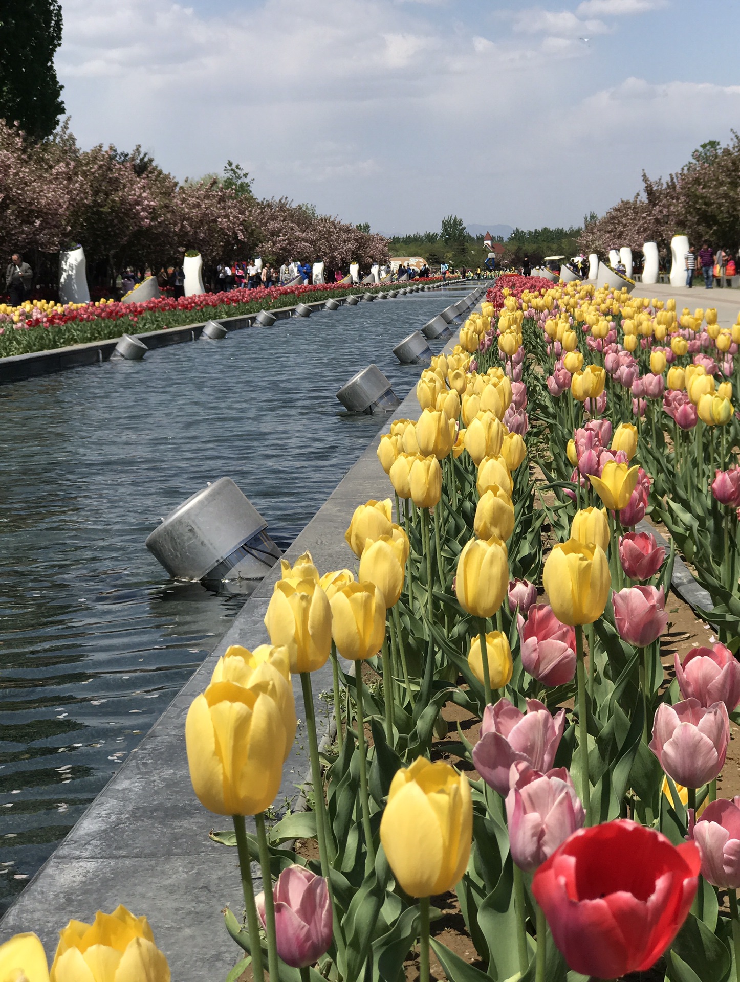 北京国际鲜花港