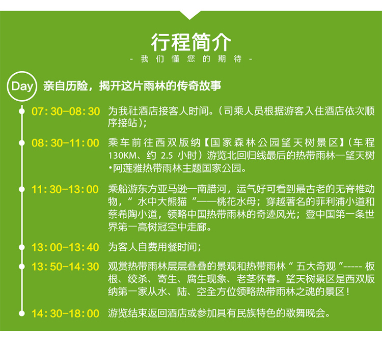 雨林望天树景区直通车纯玩一日(深度纯玩 南腊河游船 空中走廊 门票)
