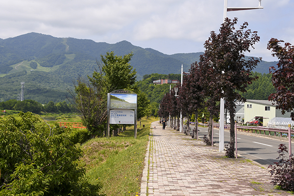 北海道自助遊攻略