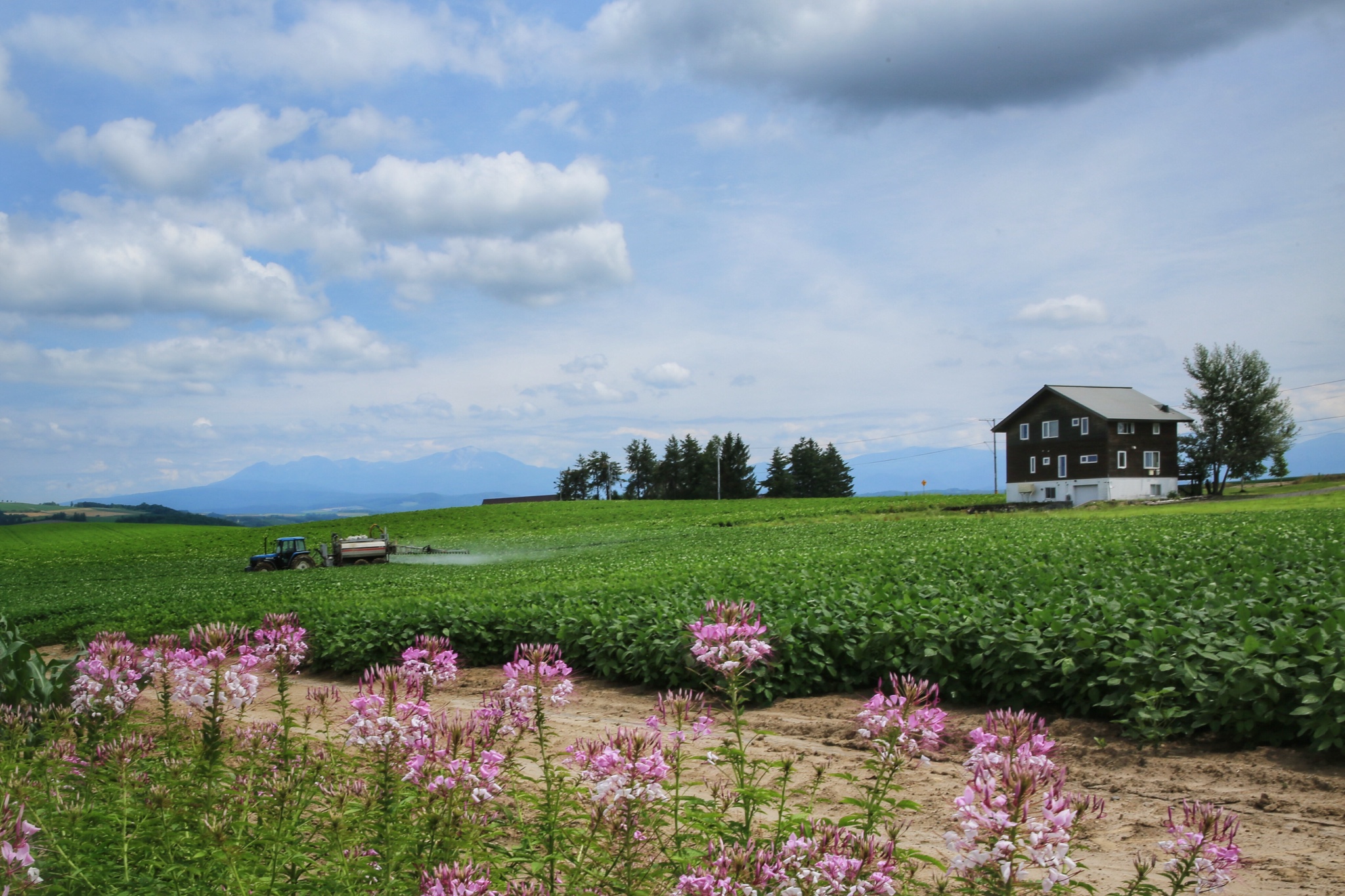 北海道自助遊攻略