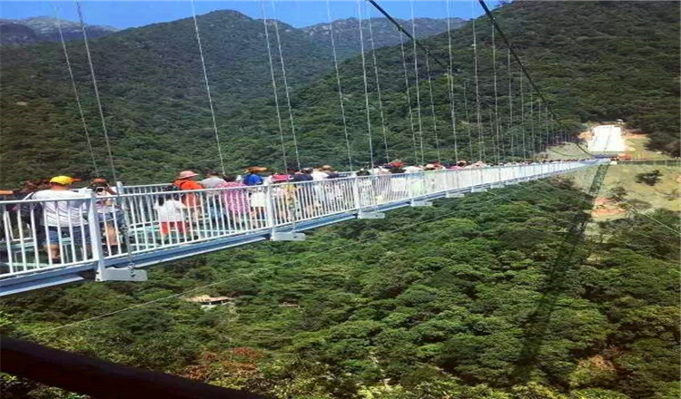 深圳-韶關雲門山玻璃橋 帽子峰賞銀杏2日遊(漫步雲端 黃金鋪地)