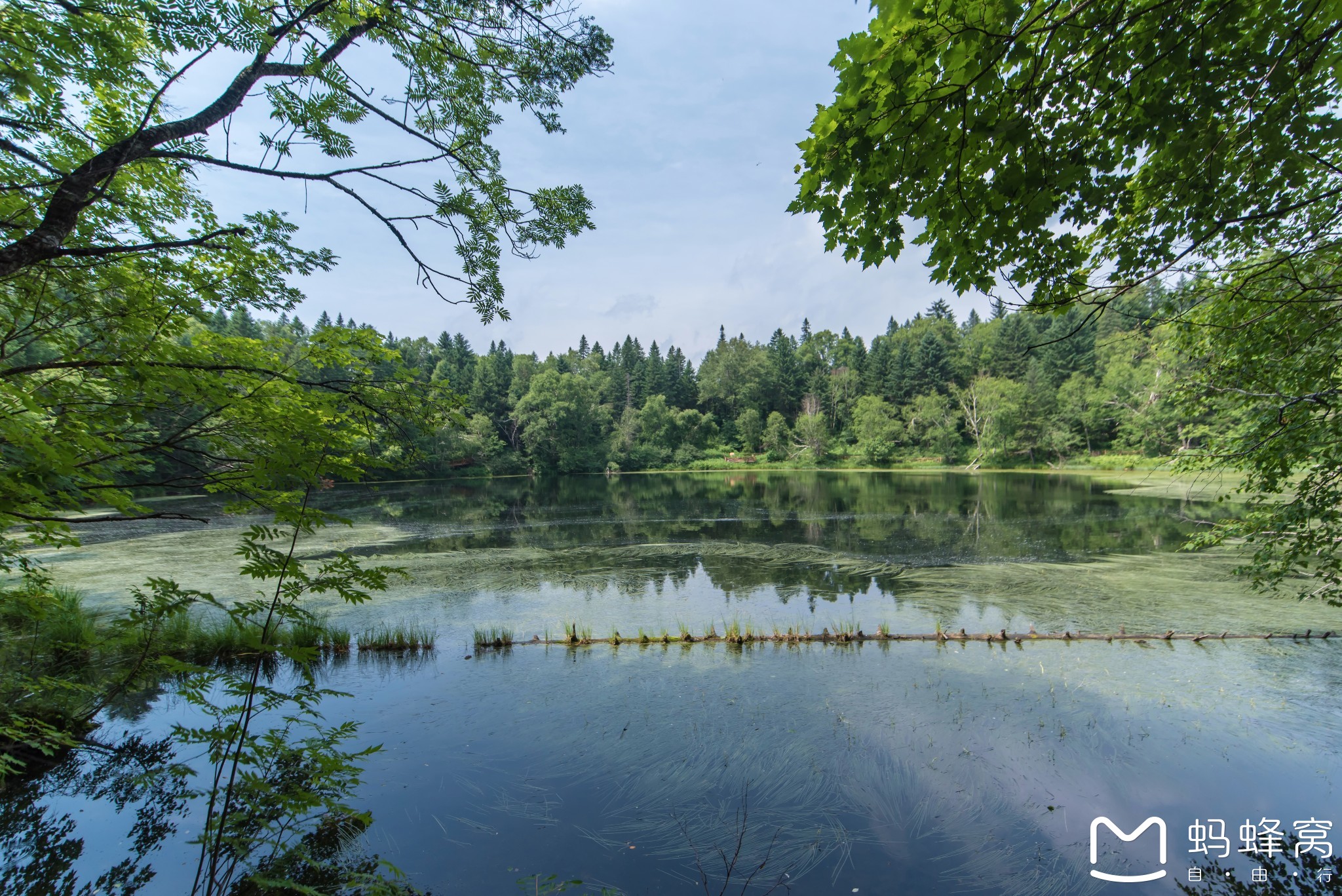 白山市旅遊圖片,白山市自助遊圖片,白山市旅遊景點照片 - 馬蜂窩圖庫