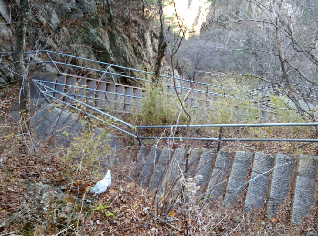 欒川自助遊攻略