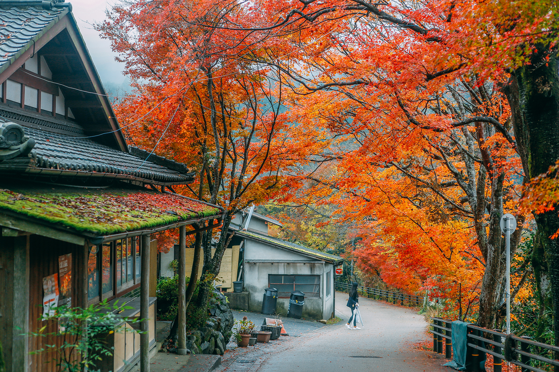 京都自助遊攻略