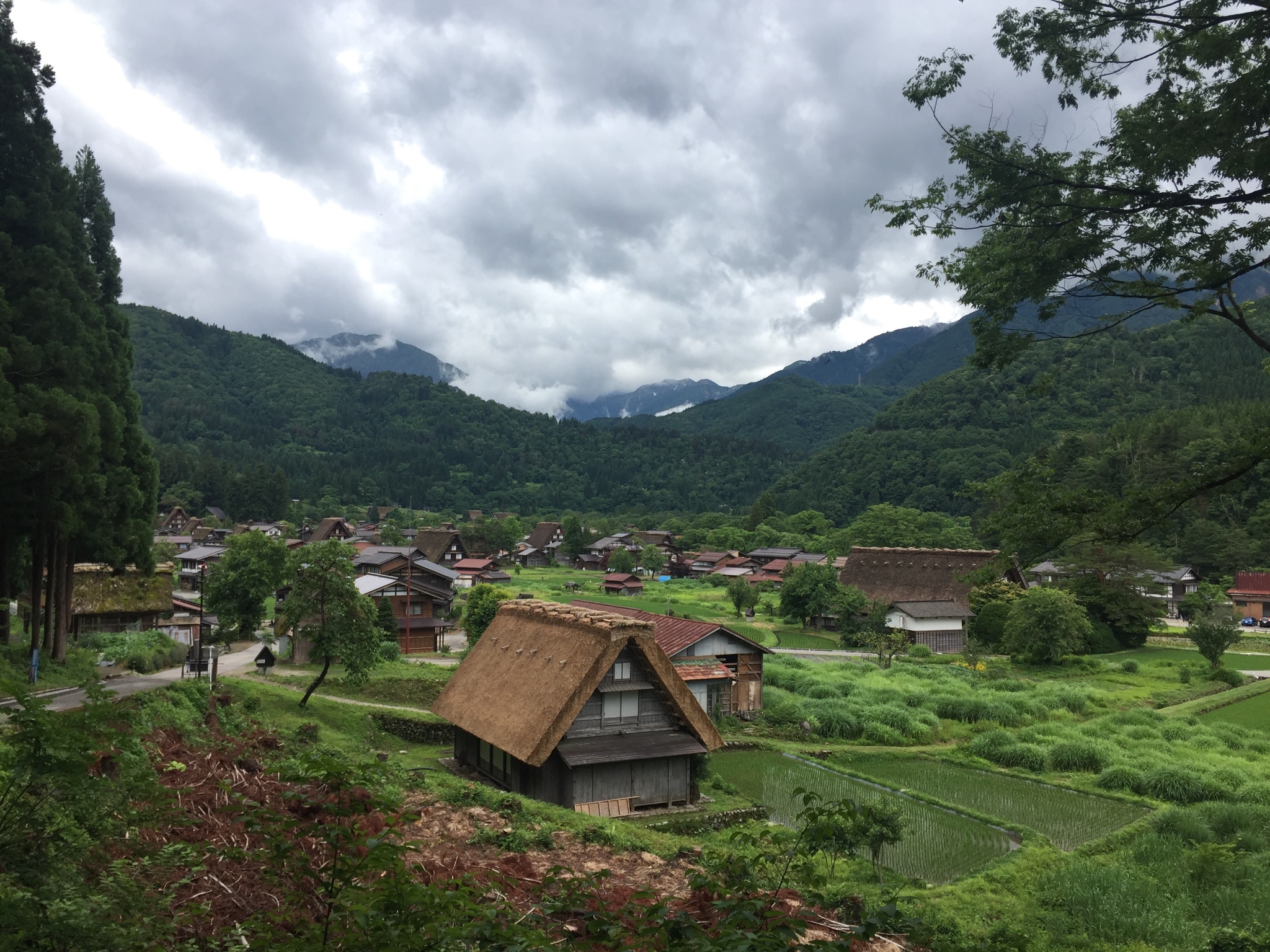 名古屋自助遊攻略