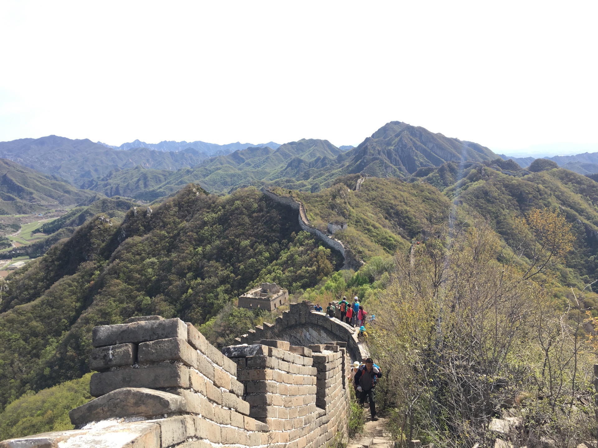 春日去爬箭扣長城——看山花爛漫,感受雄奇險峻