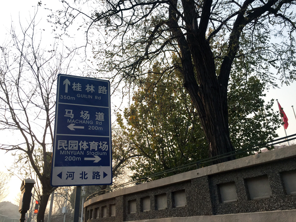 想骑行逛五大道 如何规划骑行路线 马蜂窝