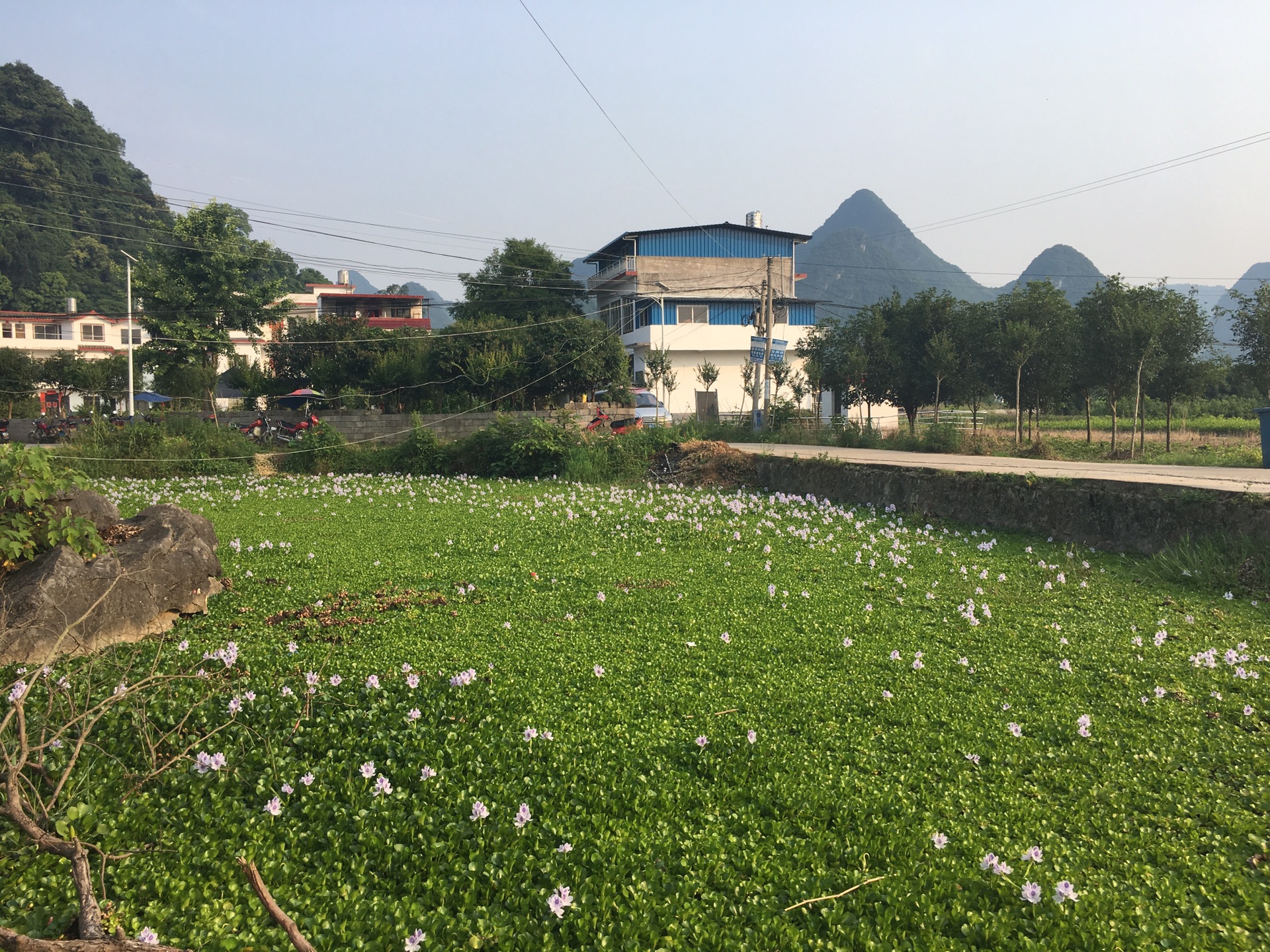 龍脊梯田自助遊攻略