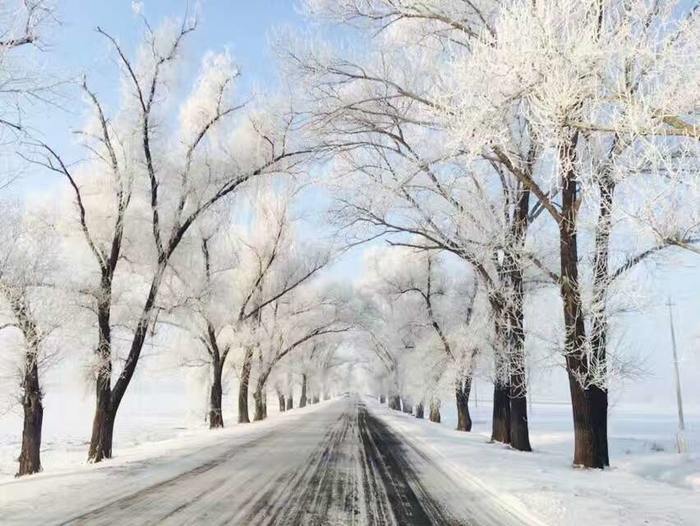 不為人知的銀色世界冬季呼倫貝爾大雪原應該這麼玩