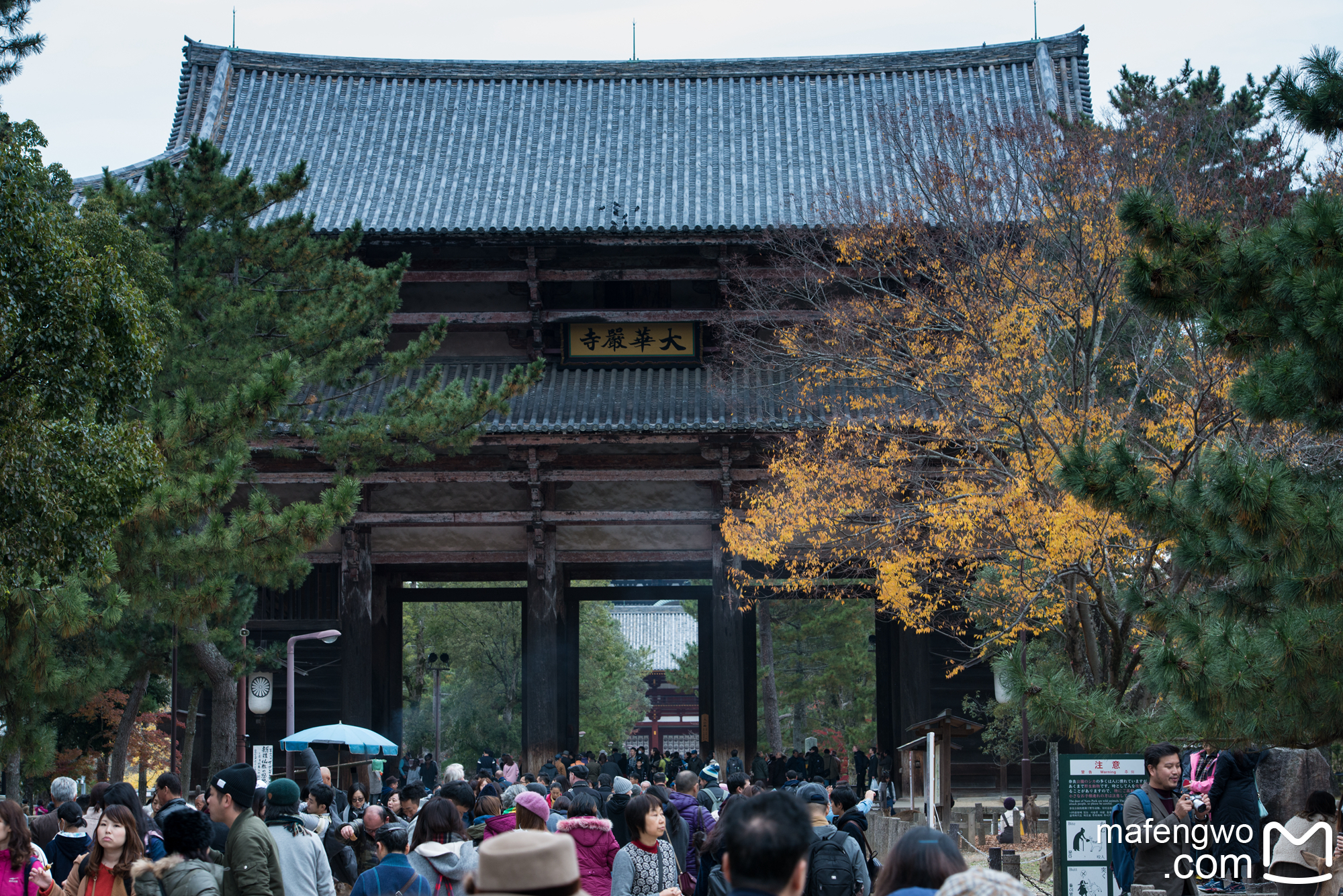 京都自助遊攻略