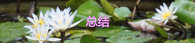 总结 总结