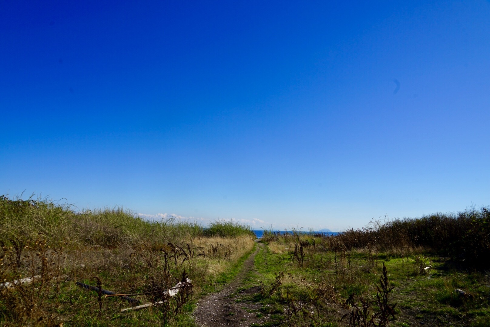 秋日徒步之美国罗伯茨角镇