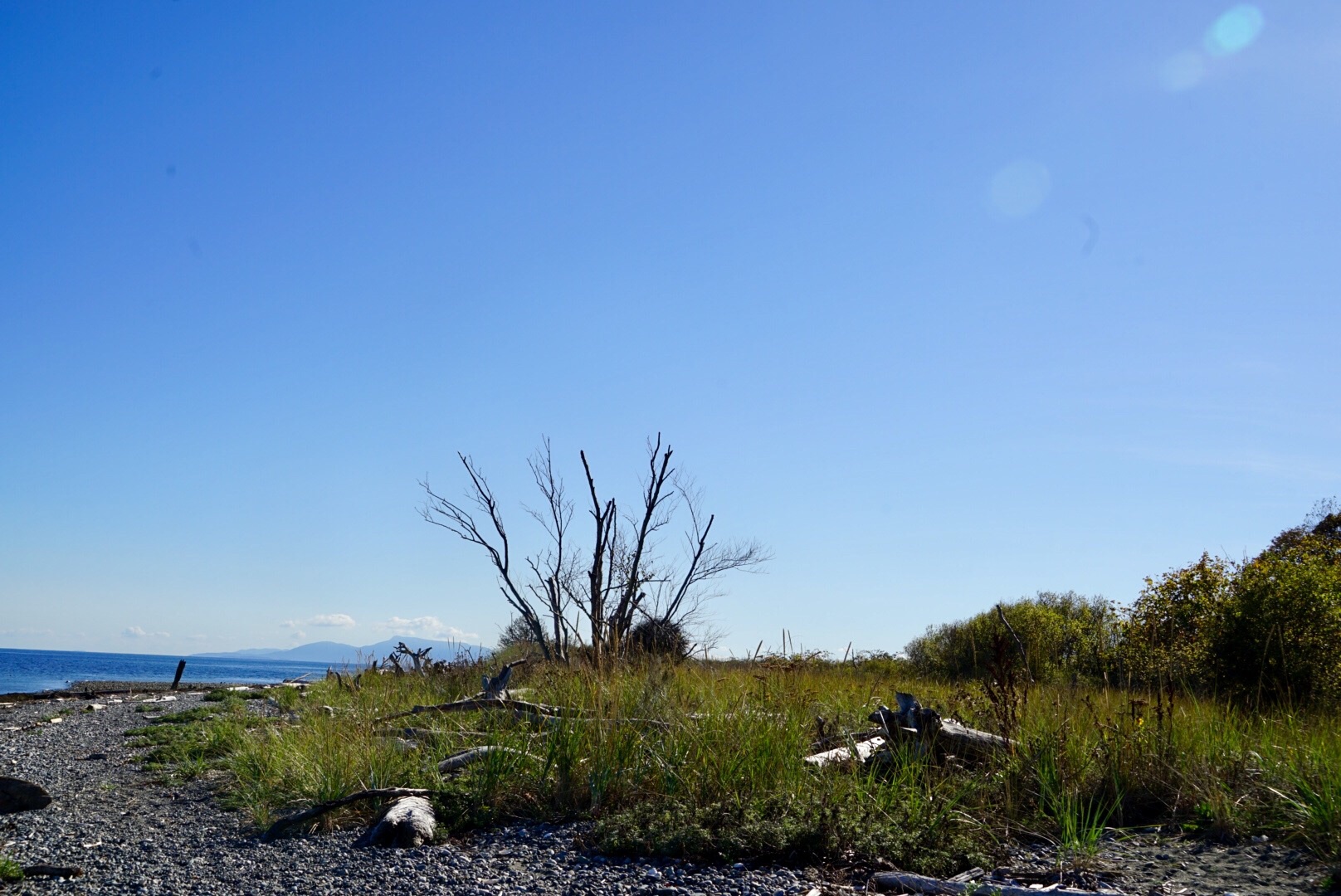 秋日徒步之美国罗伯茨角镇