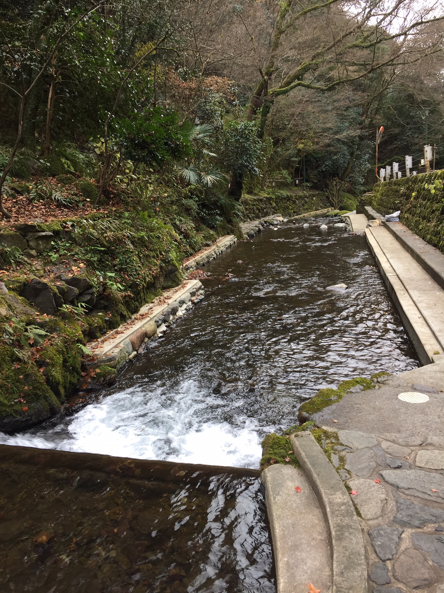 京都自助遊攻略