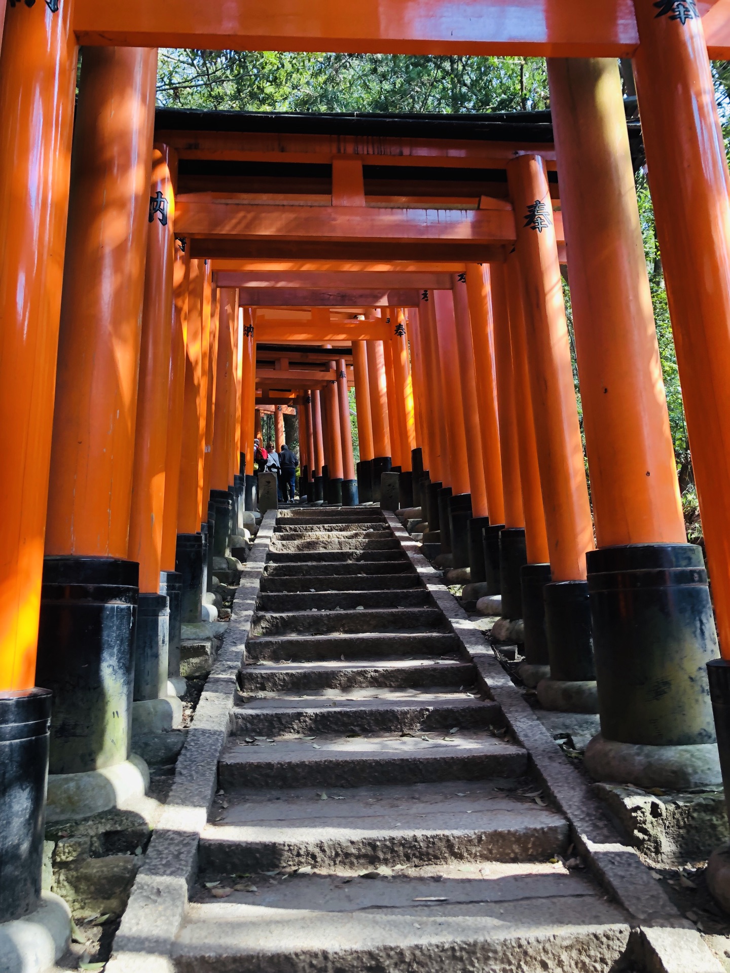 京都自助遊攻略