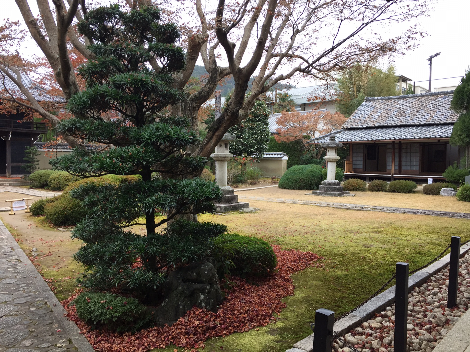 京都自助遊攻略