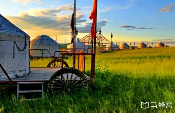 大家都建议我住黑山头的蒙古包,请问怎么预定?携程或蚂蜂窝能定吗?