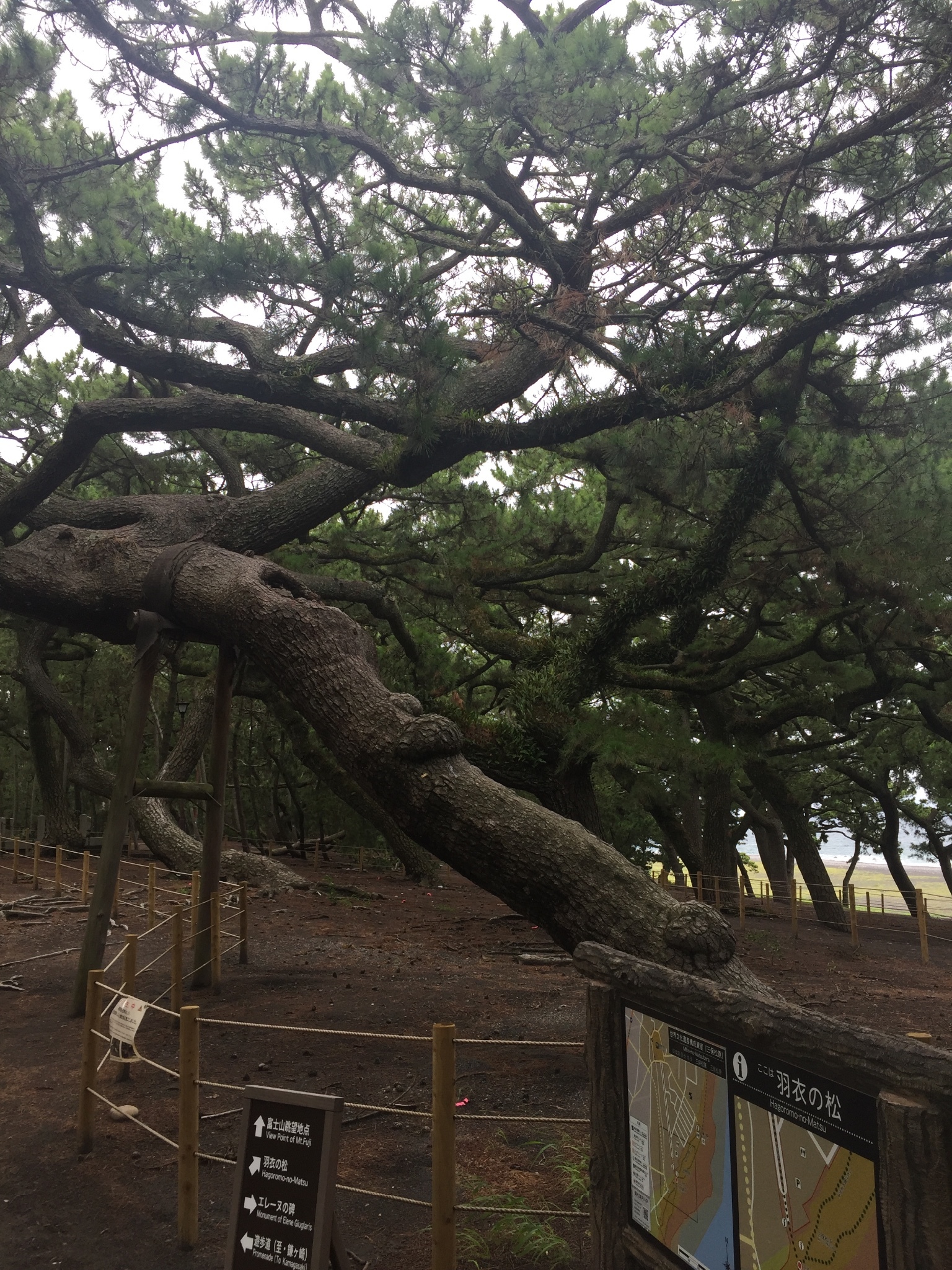 名古屋自助遊攻略