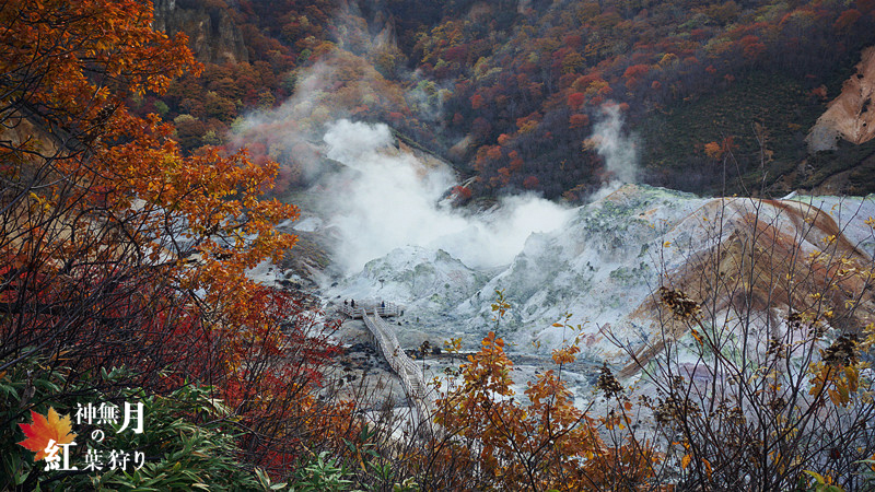 北海道自助遊攻略