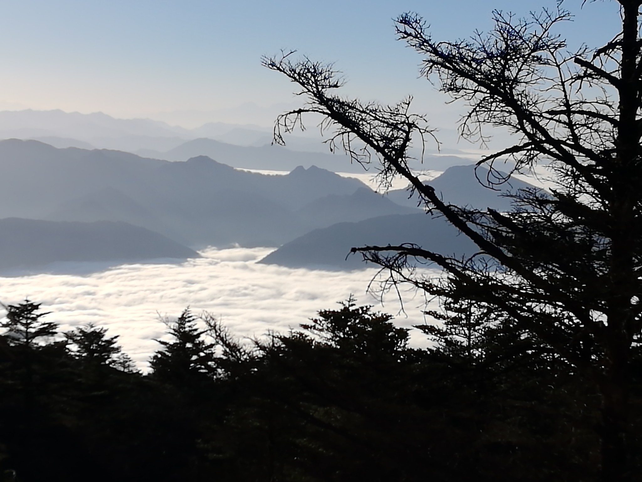 春節假期的成都-青城山-峨眉山-樂山8晚9天 3人親子游