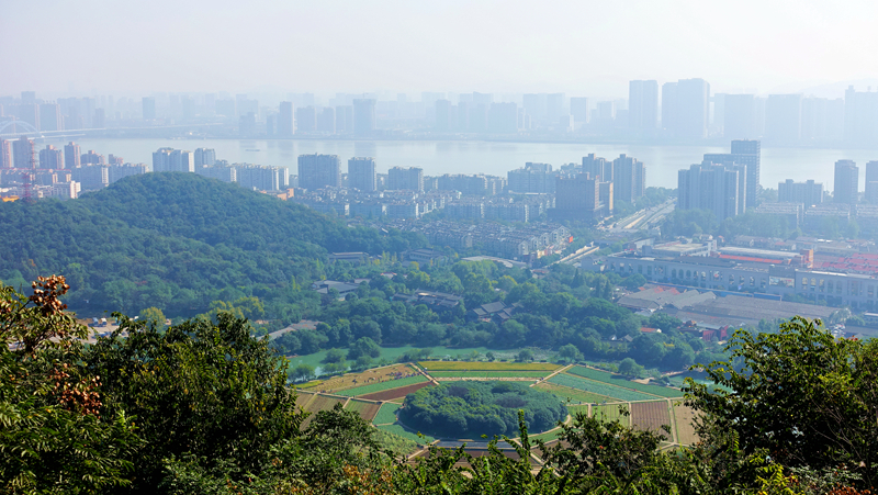 杭州凤凰山和玉皇山图片