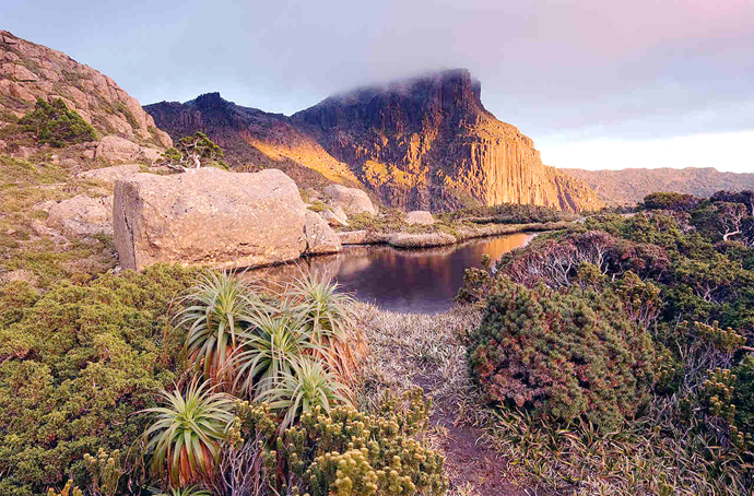 菲尔德山国家公园 mt field national park