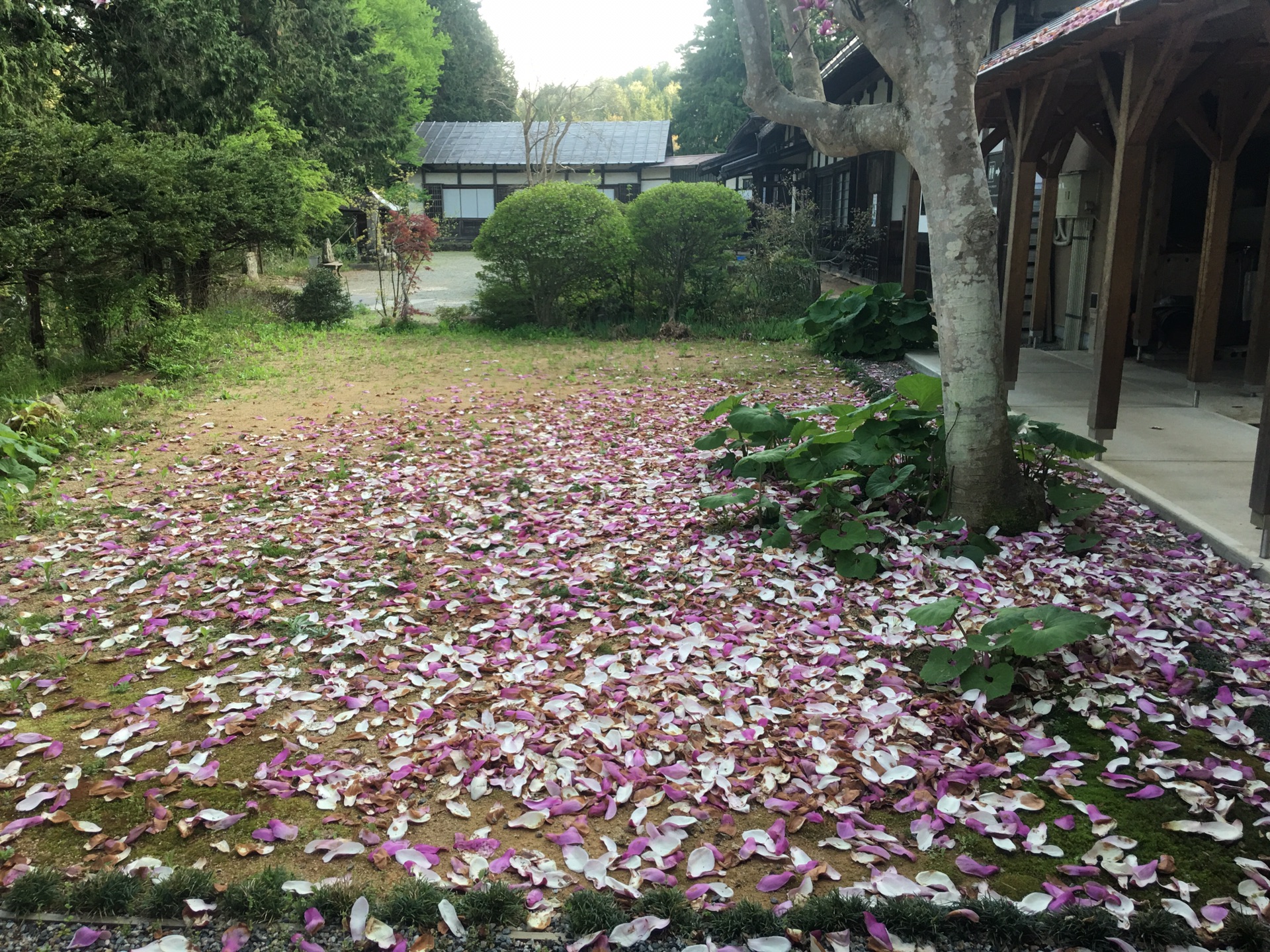 名古屋自助遊攻略