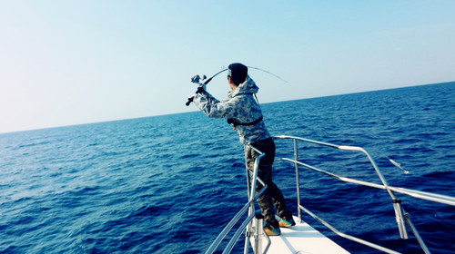 出海海钓 大连老钓手带你体验海上垂钓的乐趣 挥杆 收杆 上鱼喽