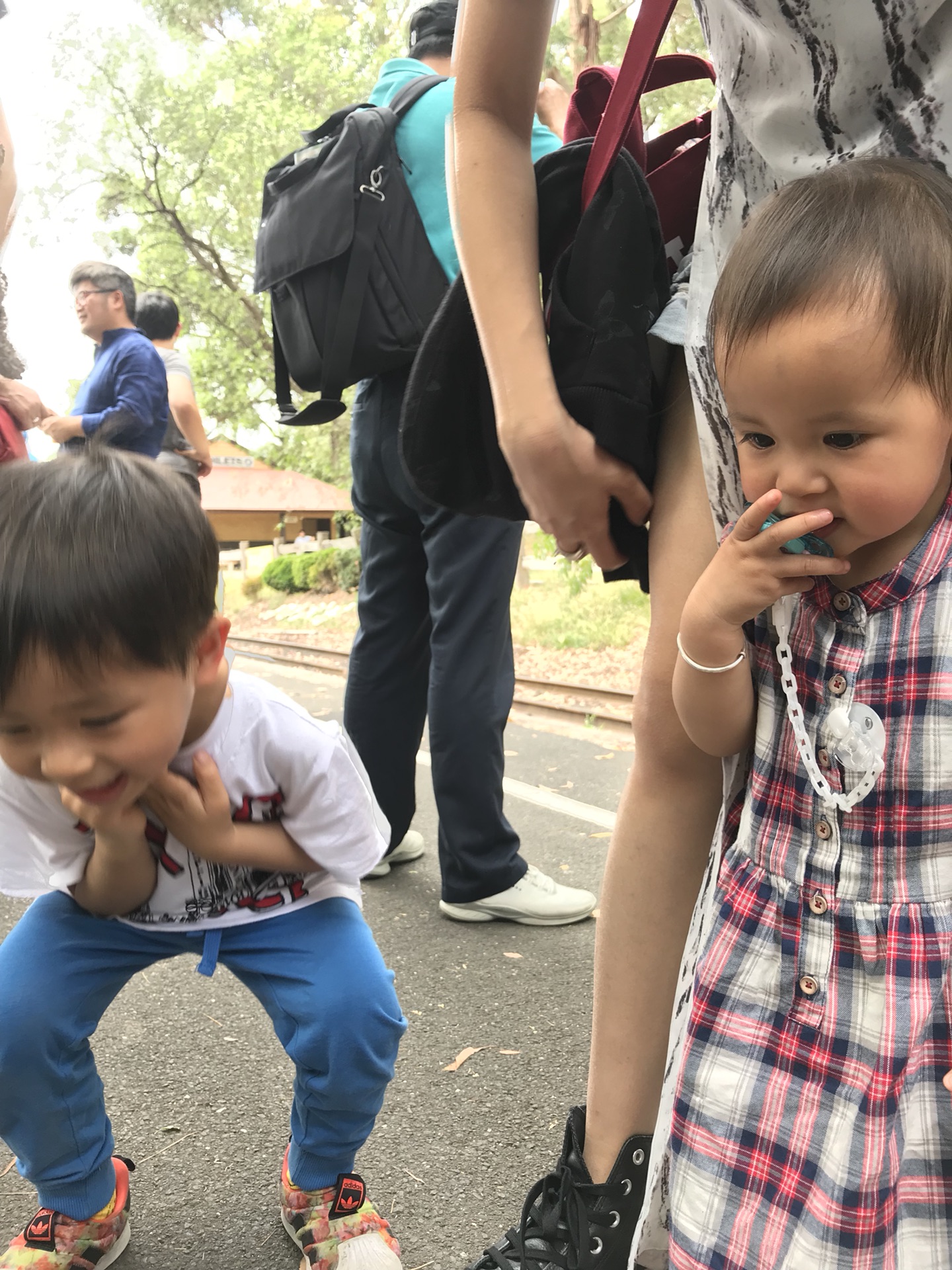 墨爾本自助遊攻略