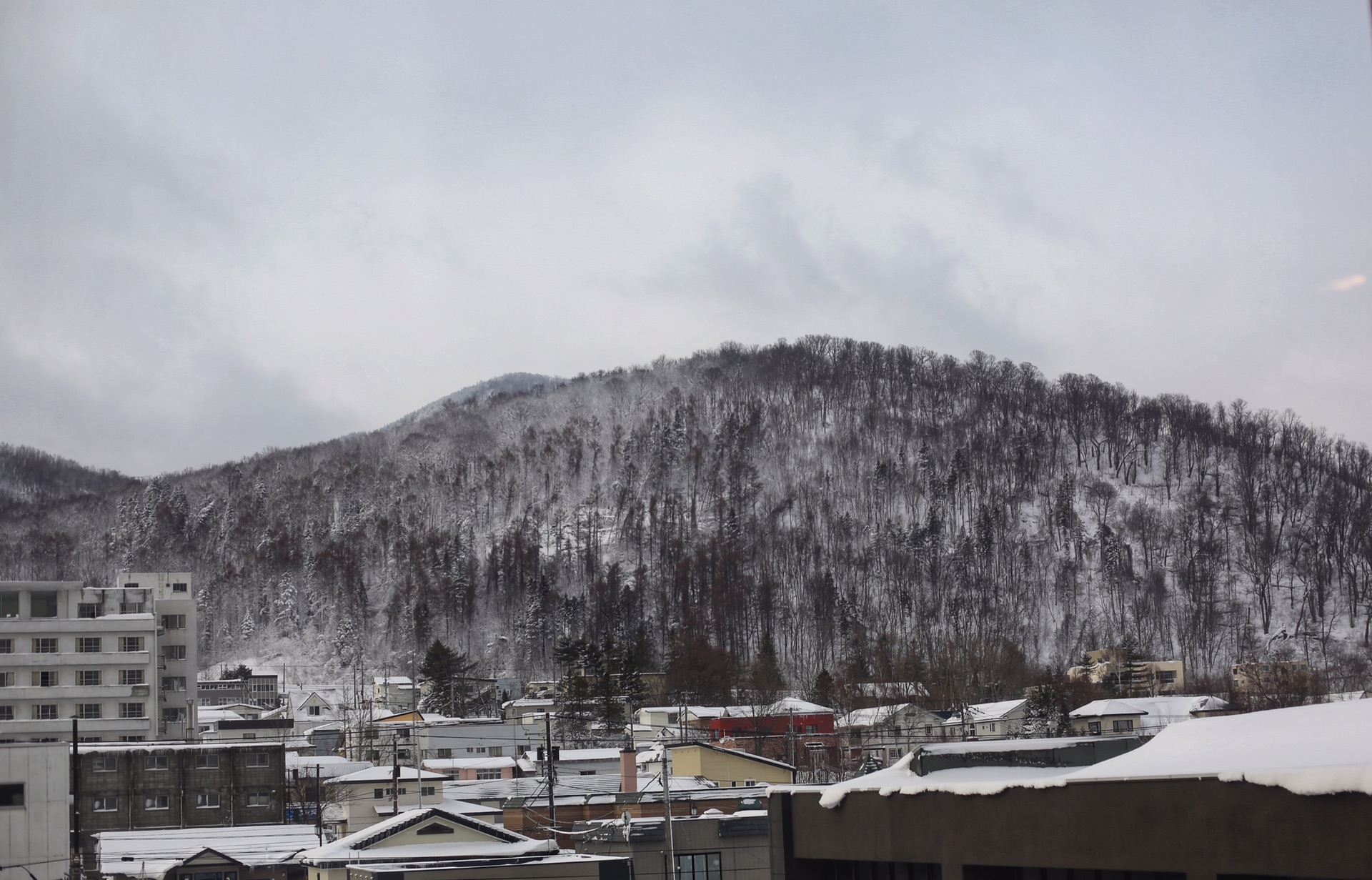 北海道自助遊攻略