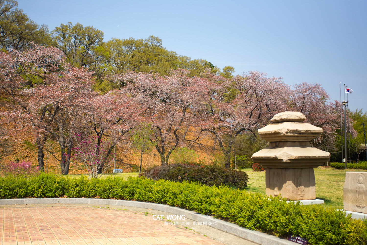 釜山自助遊攻略