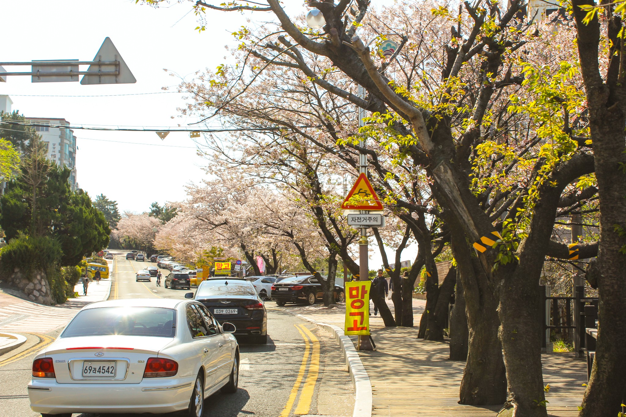 釜山自助遊攻略