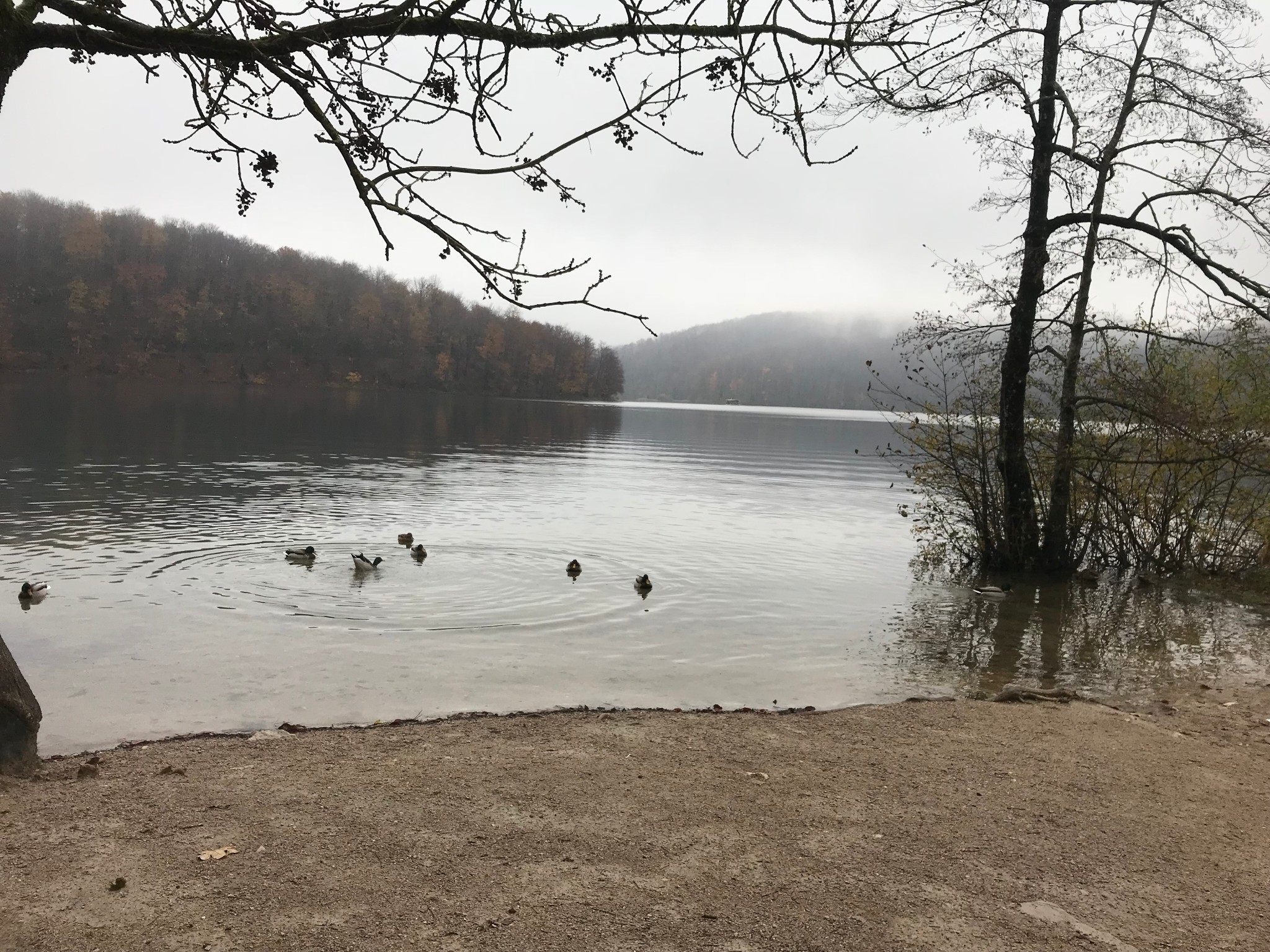 普利特維採湖群國家公園自助遊攻略