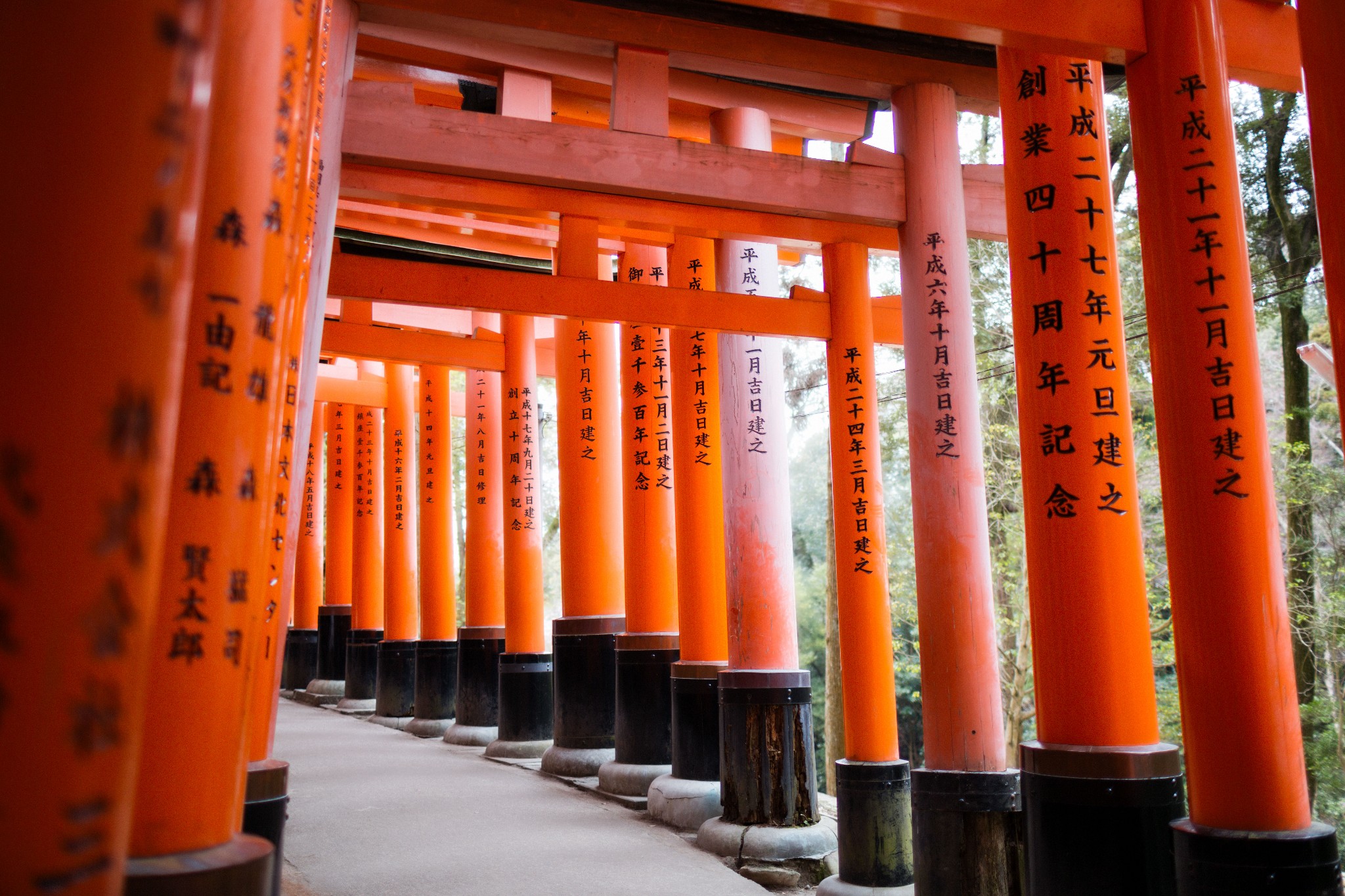 京都自助遊攻略