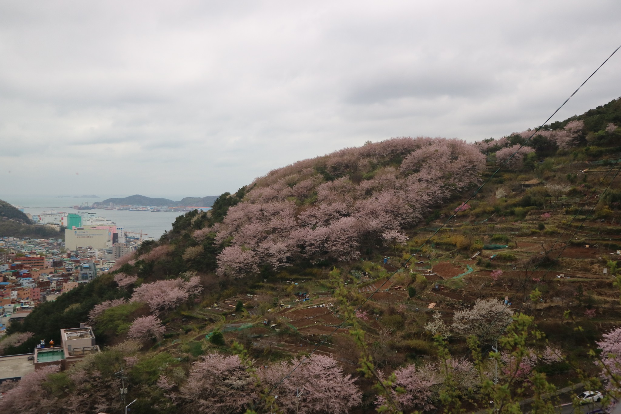 釜山自助遊攻略