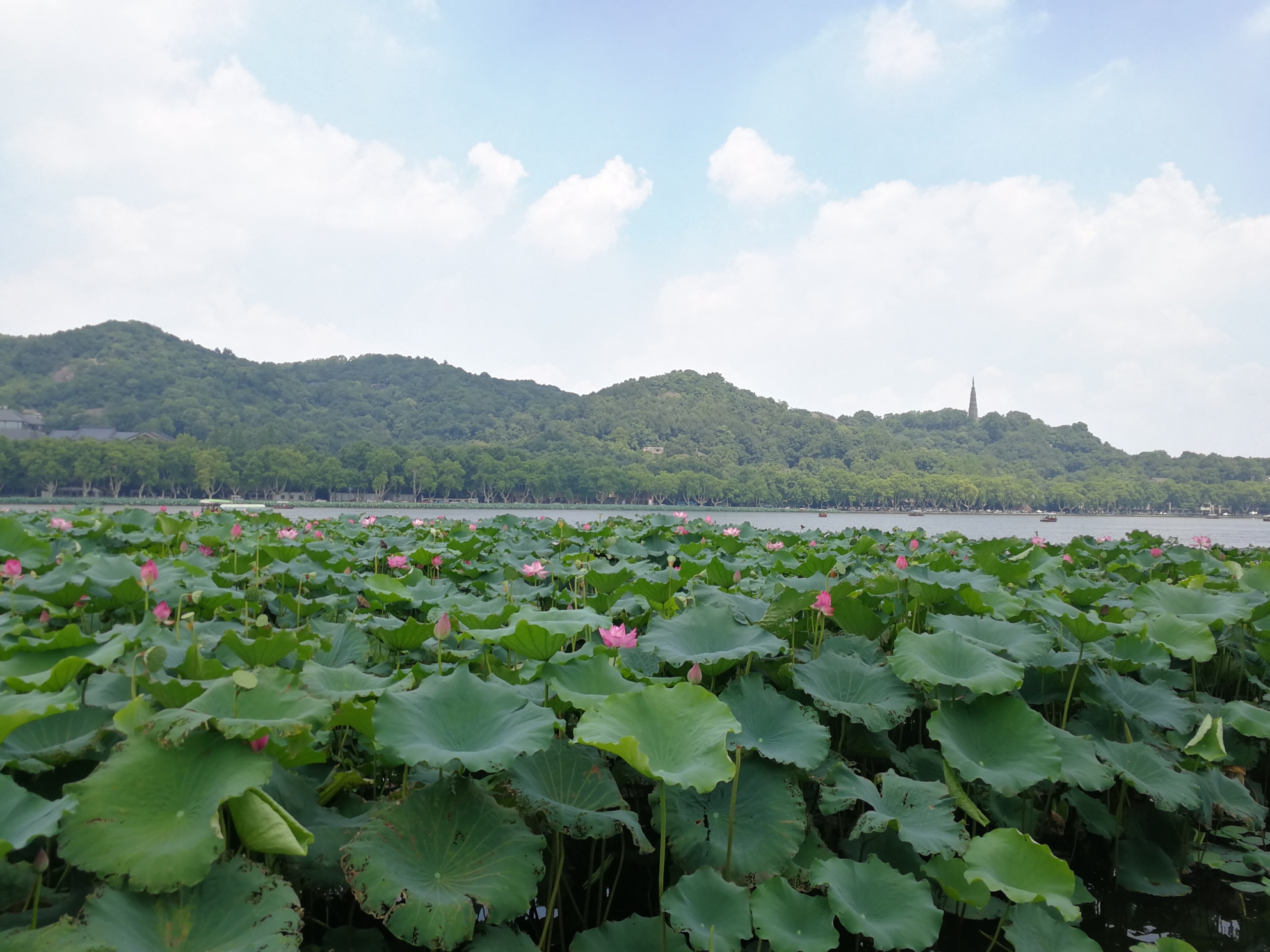 千島湖自助遊攻略