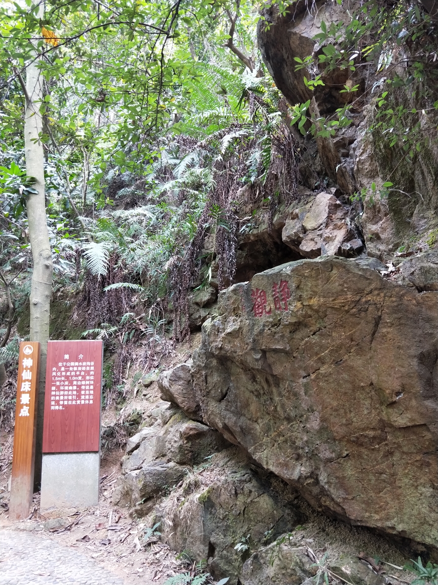 先有番禺后有广州,滴水岩森林公园,番禺沙湾古镇,体验广州慢生活(周末