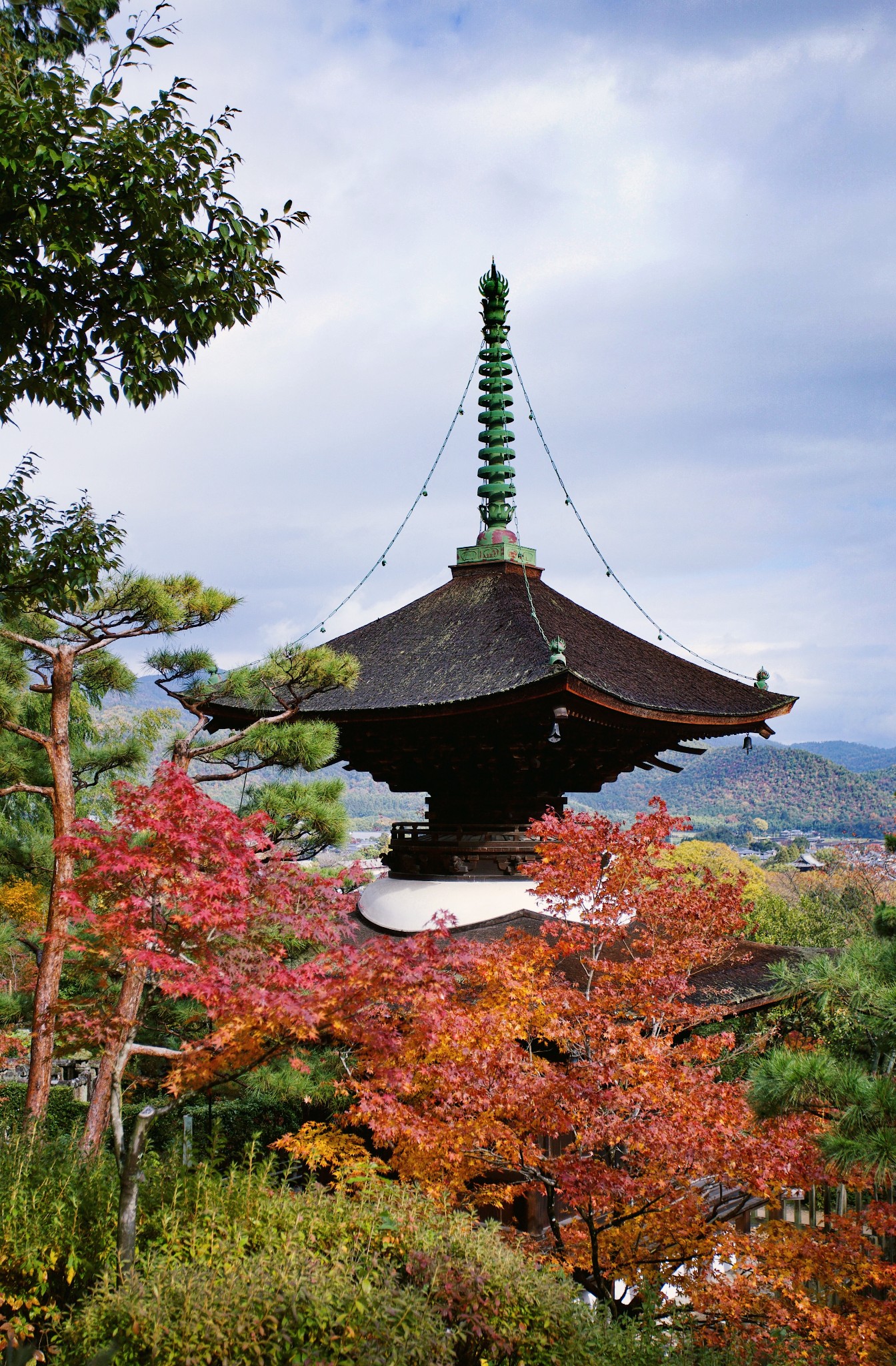 京都自助遊攻略