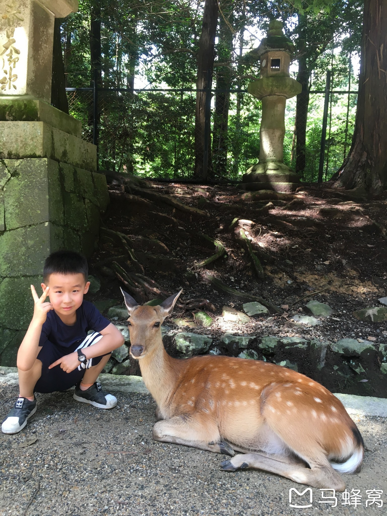 北海道自助遊攻略