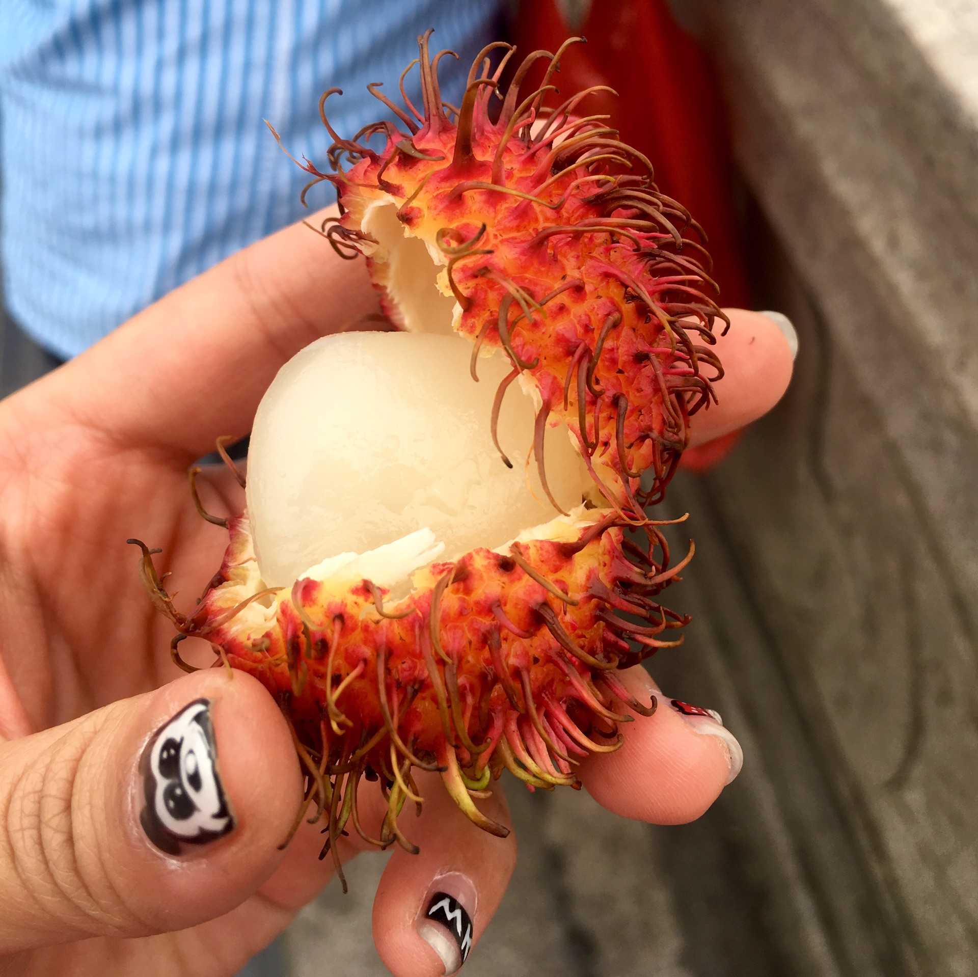 红毛丹,毛荔枝,热带水果,长得和海胆很像,吃起来口感有点像桂圆的