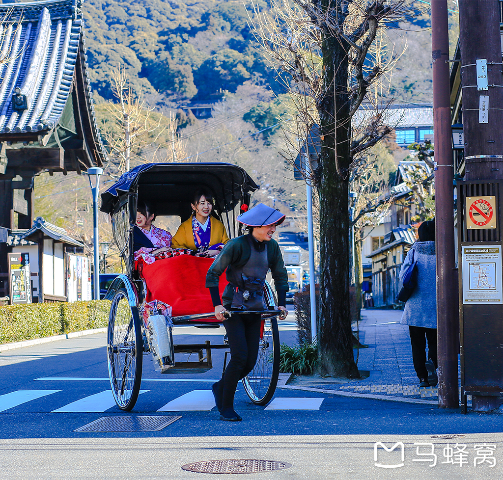 京都自助遊攻略