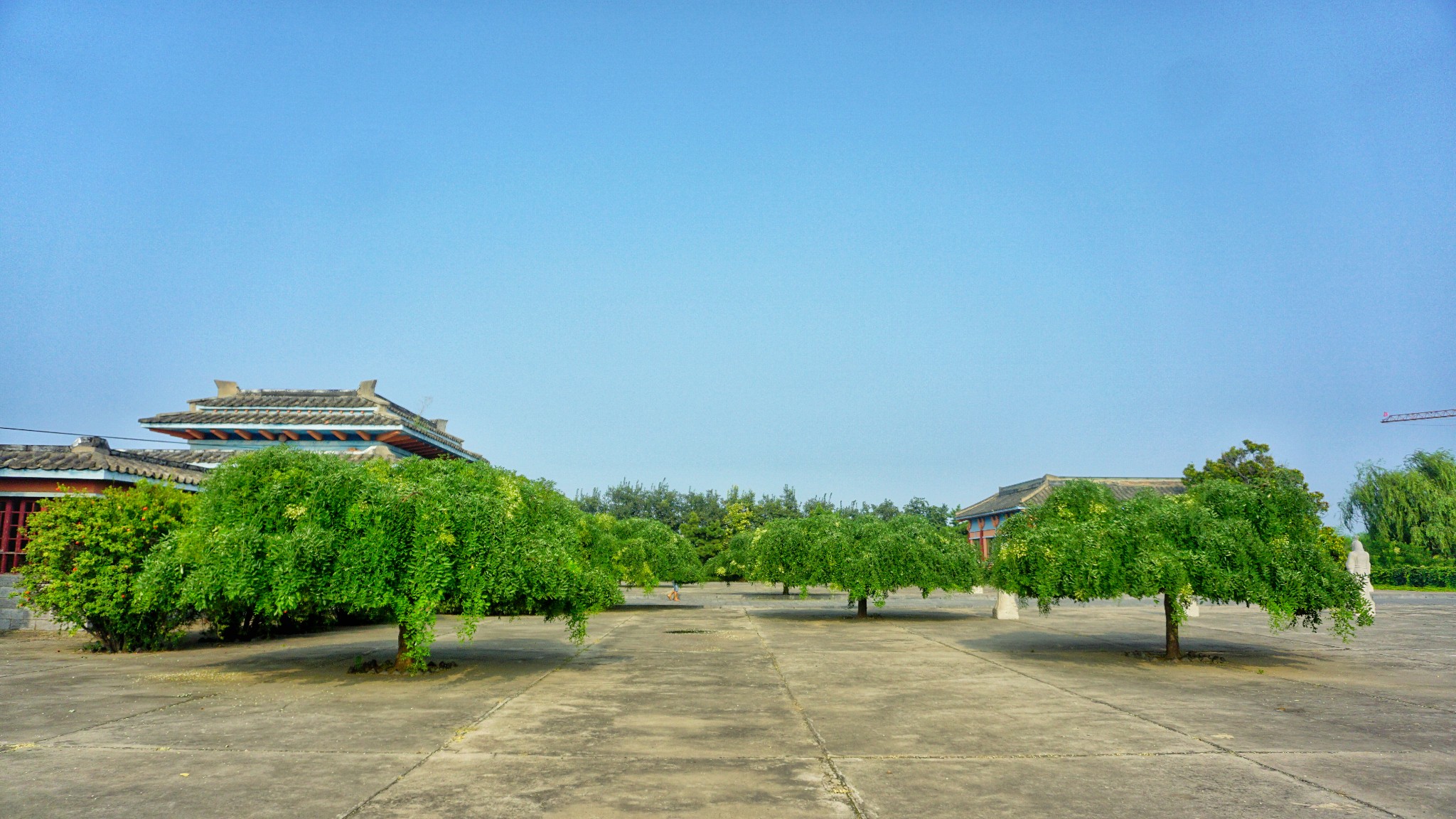 河南自助遊攻略